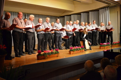 Beim  Konzert für die Walldorfschule Oktober 2016